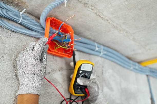 Best Licensed Electrician  in Tusculum, TN